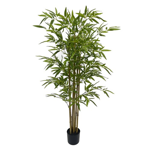 ARBOL BAMBU TRONCO NATURAL