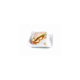 PLATO SANDWICH GASTRO FRESH - 18 CM