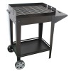 BARBACOA CARBON DENIA - 100X40X120