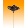 PLUMERO AVESTRUZ LARGO PLUMA 23-24 M/VARILLA