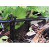 SOPORTE MICROTUBO BL10