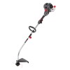CORTABORDES GASOLINA - 25,4 CM3